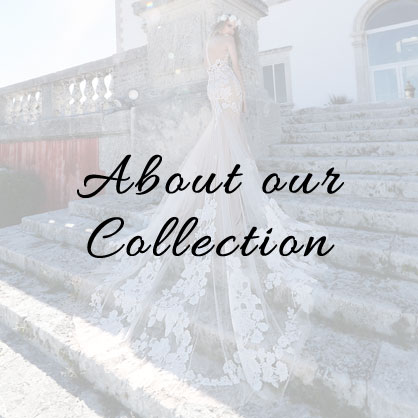 About our Collection 